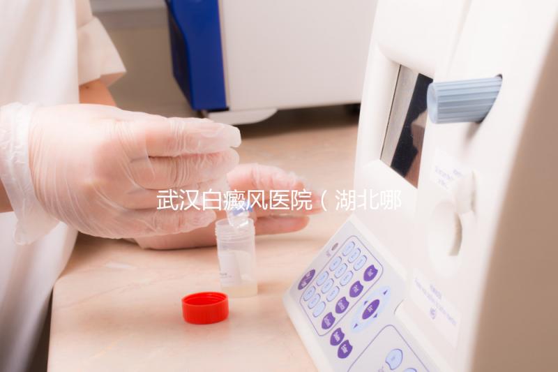 武漢白癜風(fēng)醫(yī)院(湖北哪家醫(yī)院白癜風(fēng)最好)