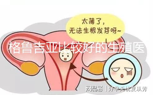 格魯吉亞比較好的生殖醫院是哪家，助孕成功率高還看這4家