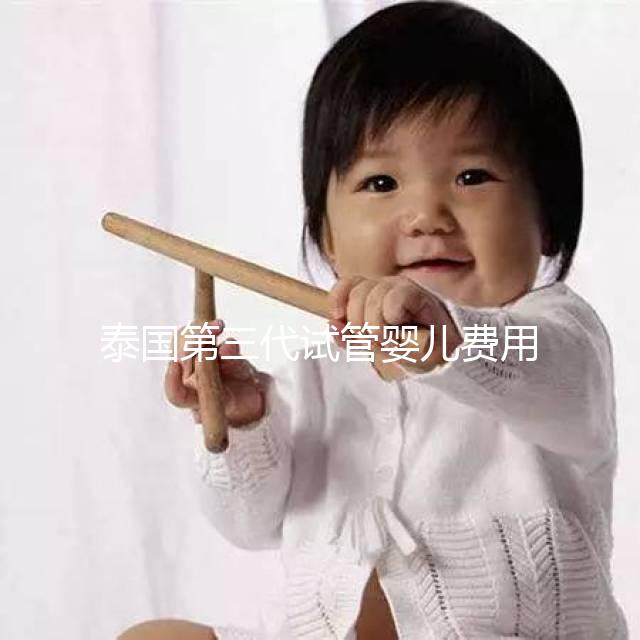 泰國第三代試管嬰兒費用(泰國第三代試管嬰兒費用多少錢)