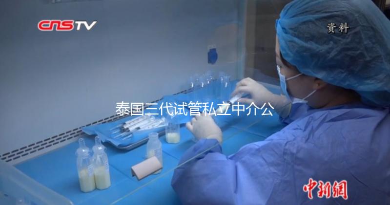 泰國三代試管私立中介公司推薦，排名一目了然，輕松選擇！