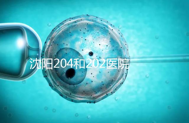 沈陽204和202醫(yī)院哪個(gè)好？東港市做過試管嬰兒的姐妹這樣說