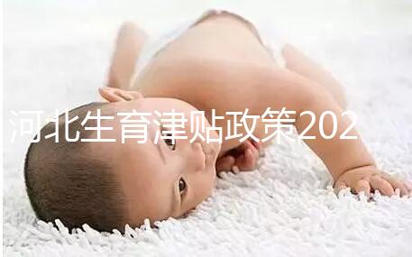 河北生育津貼政策2024，想造石家莊怎么算、多久到賬戳這