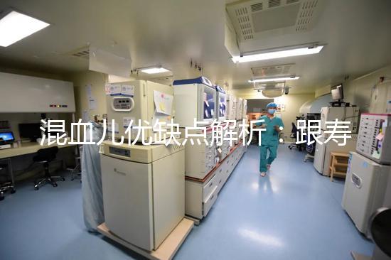 混血兒優(yōu)缺點(diǎn)解析:跟壽命短真的沒(méi)關(guān)系