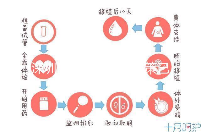 深圳最新獨生子女政策已出爐，羅湖、南山區補貼金均有提高