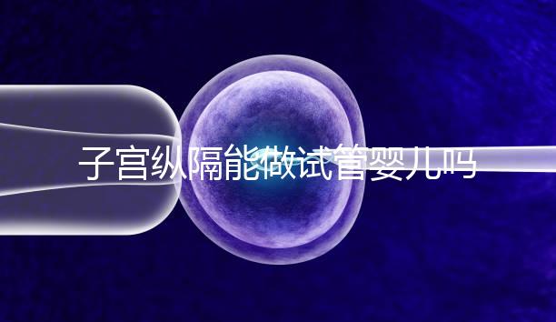 子宮縱隔能做試管嬰兒嗎？妊娠成功率給你最終答案