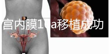 子宮內膜10a移植成功率高別還不知道，放入鮮胚厚度剛剛好