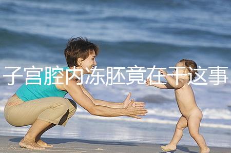 子宮腔內凍胚竟在干這事！移植第3、第4天狀態(tài)有差別