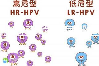 孕前檢查項(xiàng)目有哪些？