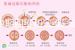 孕中期四維和三維彩超檢查區(qū)別真不小，看完便知誰(shuí)更好