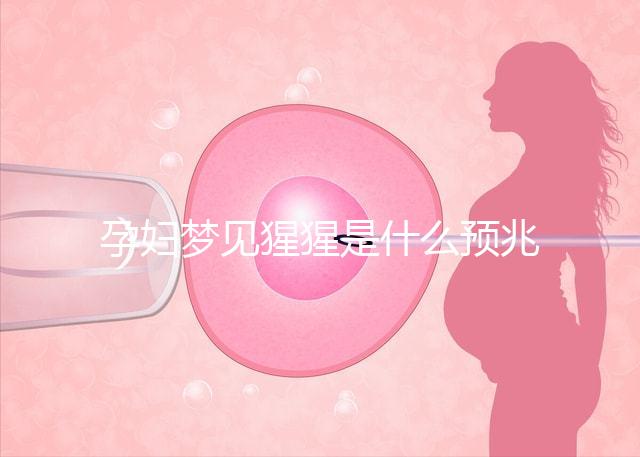 孕婦夢(mèng)見(jiàn)猩猩是什么預(yù)兆?帶你了解相關(guān)胎夢(mèng)解讀