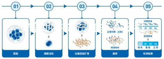安徽地中海貧血多不多戳，合肥比例低也要早發(fā)現(xiàn)早治療