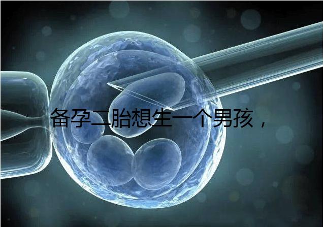 備孕二胎想生一個男孩,在鞏義市能做試管嬰兒嗎?