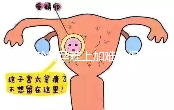 大齡備孕難上加難，但為什么越年輕的女性越容易懷孕？