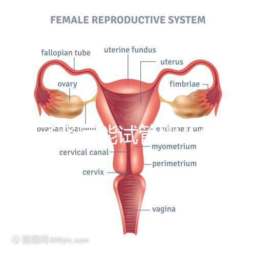 得了腎病能試管嬰兒懷孕嗎？哪些腎臟病不適宜懷孕？