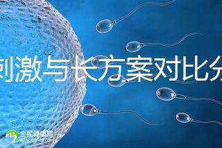 微刺激與長方案對比分析,5大區(qū)別告訴你選哪個好