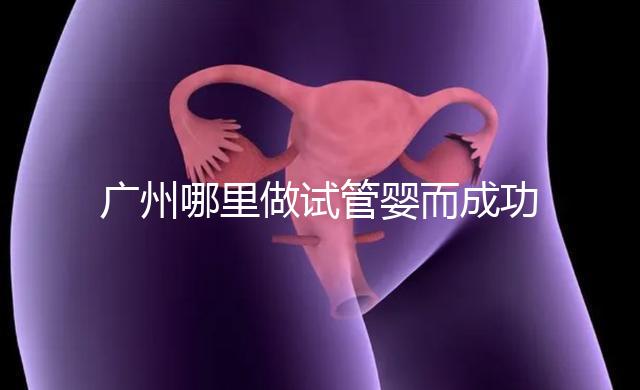 廣州哪里做試管嬰而成功率高？如何提高成功率？