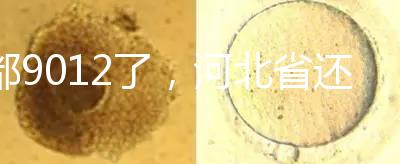 都9012了,河北省還沒(méi)三代試管嬰兒醫(yī)院,看看姐妹怎么說(shuō)