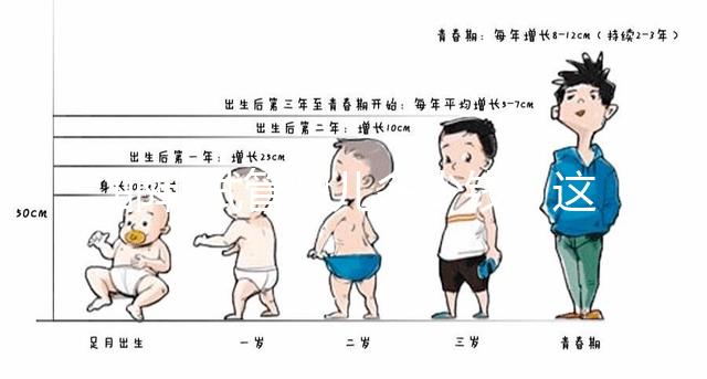 邯鄲試管嬰兒多少錢？這些醫院都能做成功率還不低！