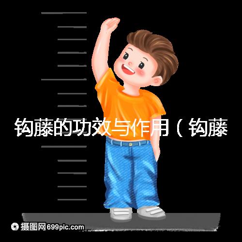 鉤藤的功效與作用(鉤藤的毒性有多強(qiáng))