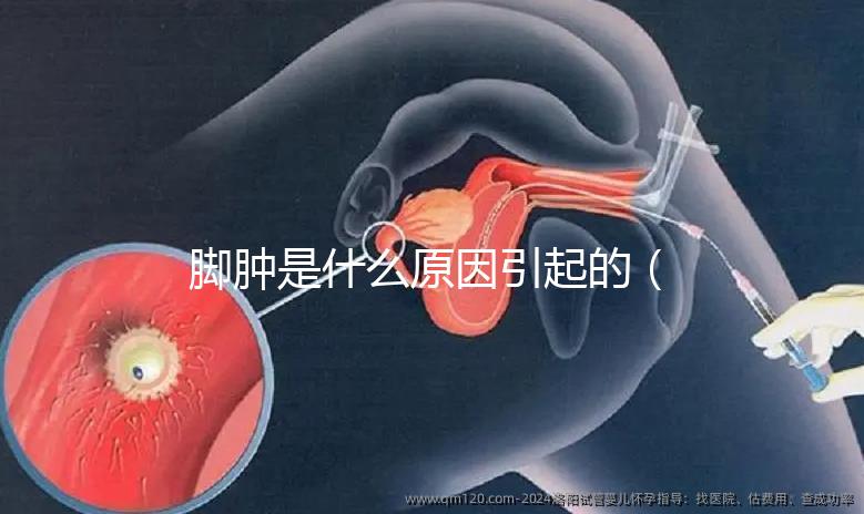 腳腫是什么原因引起的（腳腫是什么原因引起的？女性）