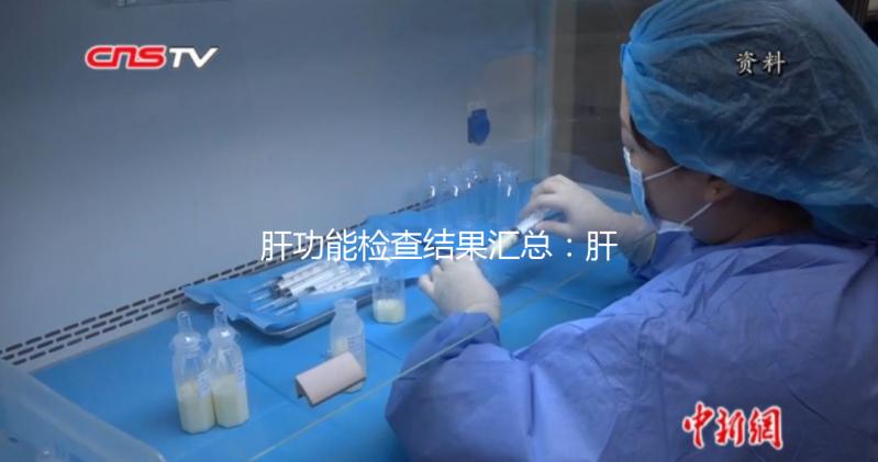 肝功能檢查結(jié)果匯總:肝損傷只是其中一項