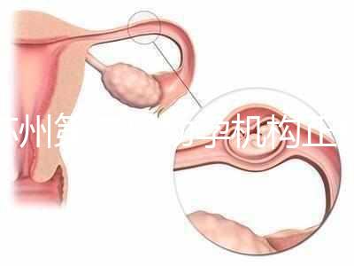 蘇州第三代助孕機構正規可靠嗎？實地考察才為真