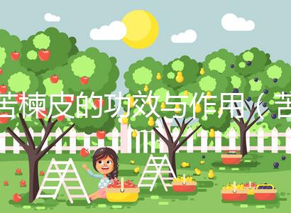 苦楝皮的功效與作用（苦楝皮的功效與作用及禁忌）