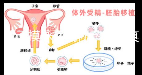 自己摸脈搏測懷孕方法真不難,想準確率高關鍵是找對手法