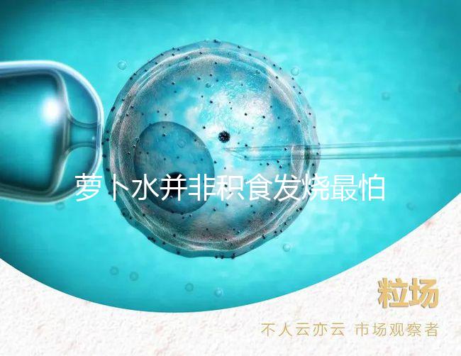 蘿卜水并非積食發燒最怕的1種水，天天煮這些喝胃口倍棒