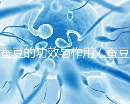 蠶豆的功效與作用(蠶豆的功效與作用及營養(yǎng)價值)