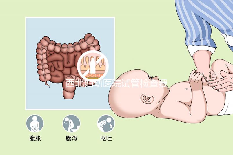 西北婦幼醫院試管檢查費用流出！做完記得來這領報告單