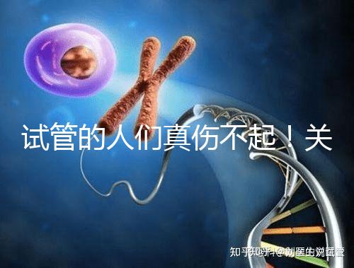 試管的人們真?zhèn)黄?！關(guān)于養(yǎng)囊的成功率這些你得知道