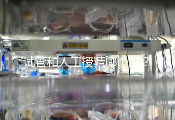 試管和人工授精哪個好？適配人群各不同