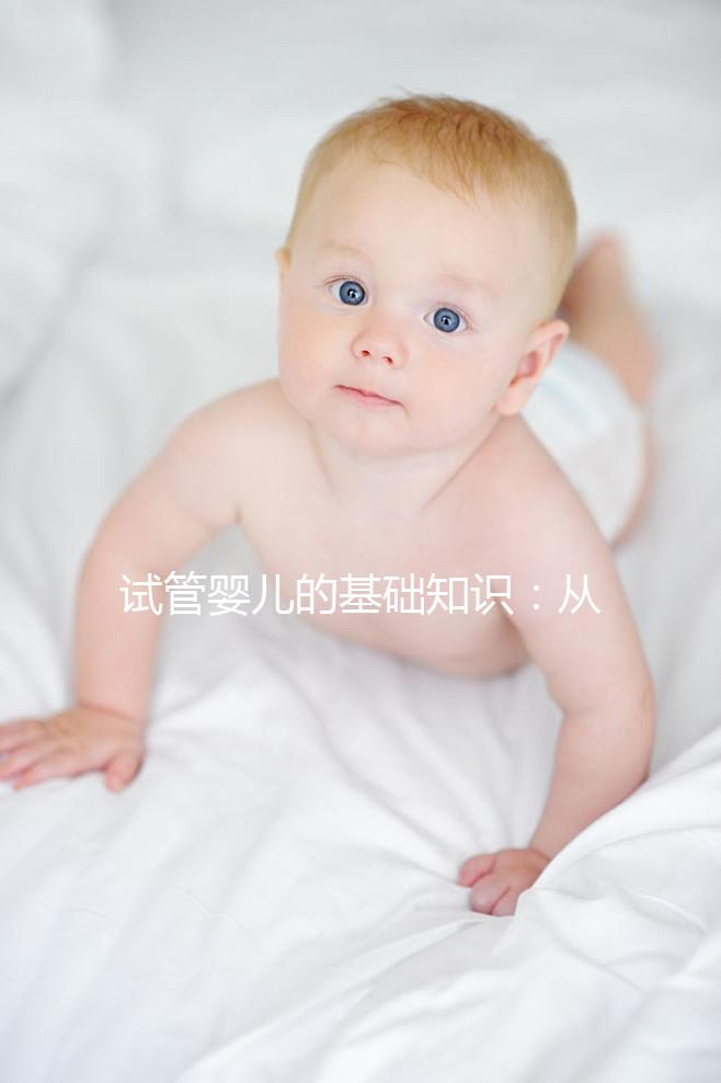 試管嬰兒的基礎(chǔ)知識(shí):從原理到流程全解析