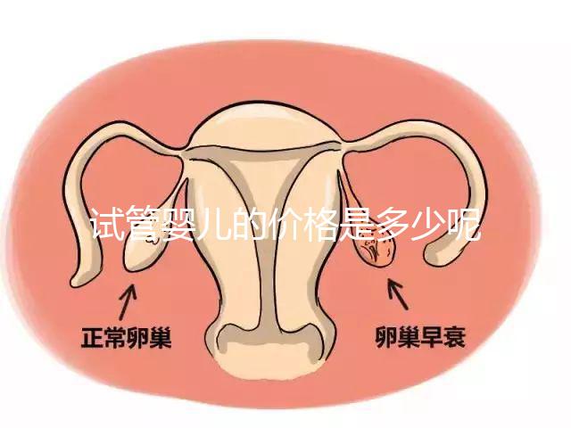 試管嬰兒的價(jià)格是多少呢?
