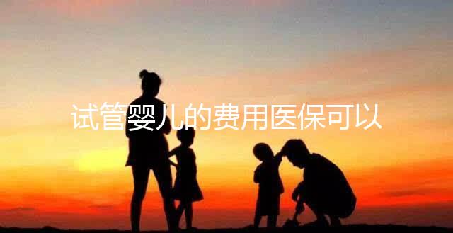 試管嬰兒的費用醫?？梢詧箐N嗎（試管嬰兒的費用醫?？梢詧箐N嗎多少錢）