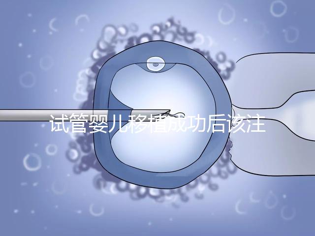 試管嬰兒移植成功后該注意哪些保胎事項？