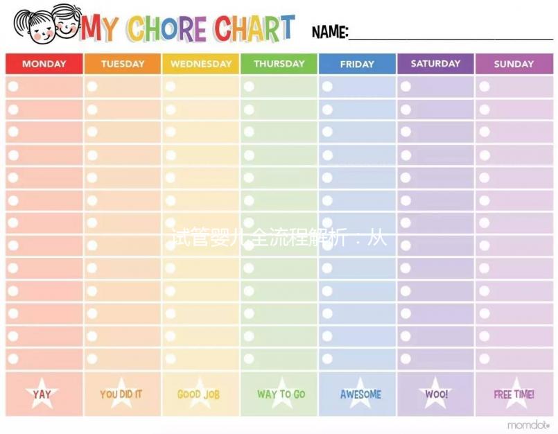 試管嬰兒全流程解析：從技術原理到費用指南必讀