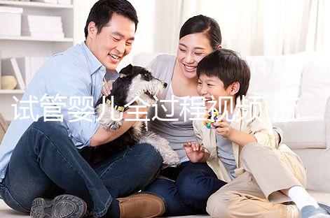 試管嬰兒全過程視頻 流程(試管嬰兒全過程視頻 流程圖)