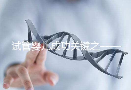 試管嬰兒成功關(guān)鍵之——子宮內(nèi)膜環(huán)境15問15答