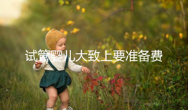 試管嬰兒大致上要準(zhǔn)備費用是多少