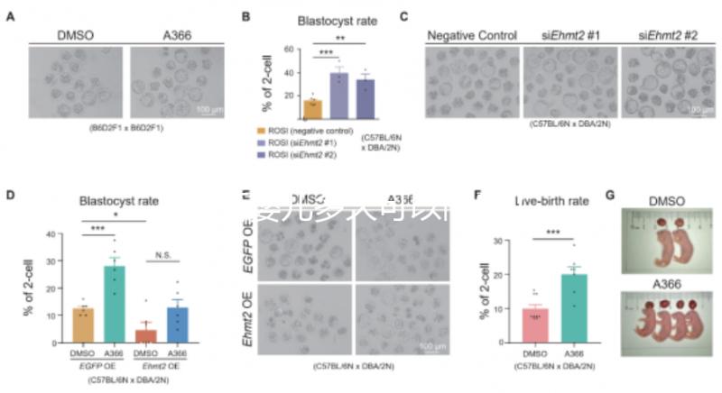 試管嬰兒多久可以同房(試管嬰兒多久可以過性生活)