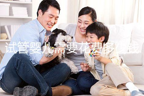 試管嬰兒需要花費(fèi)多少錢?多少時(shí)間?