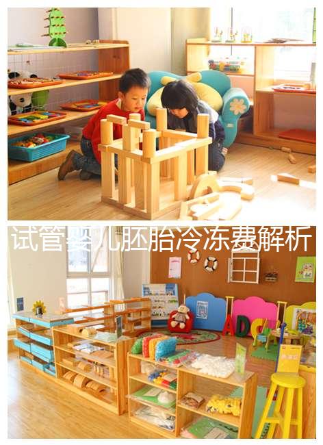 試管嬰兒胚胎冷凍費解析,一年下來大概要花這么多