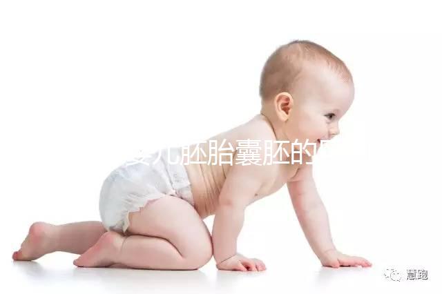 試管嬰兒胚胎囊胚的區別，成功率哪個高