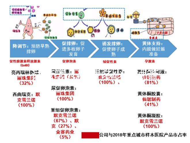 試管嬰兒花費多少（試管嬰兒花費多少錢？）