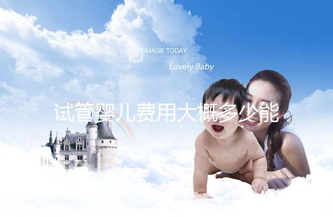 試管嬰兒費用大概多少能報銷住院(試管嬰兒費用大概多少能報銷住院費)