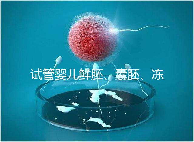 試管嬰兒鮮胚、囊胚、凍胚移植那個(gè)成功率最高?