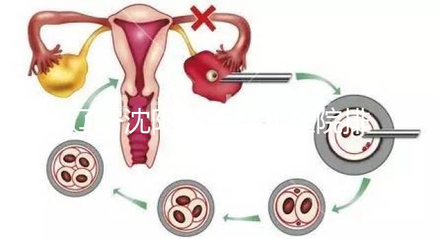 遼寧沈陽(yáng)試管嬰兒醫(yī)院排名匯總新鮮出爐:這14家值得一看!
