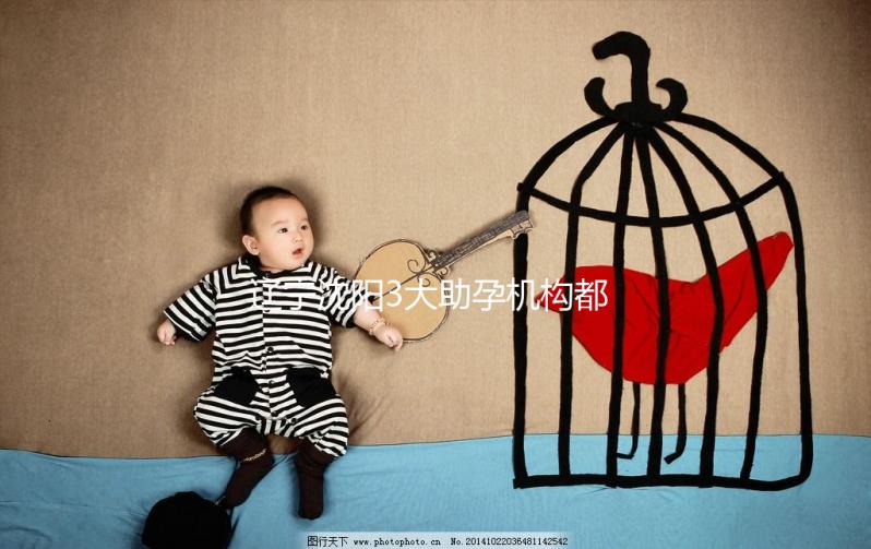 遼寧沈陽(yáng)3大助孕機(jī)構(gòu)都在這,來看看你知道幾家